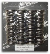 Web Cam Type 1 Valve Springs Only "Single" Set of 8